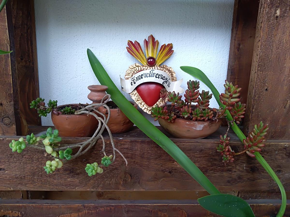 Hotel Posada Santa San Cristóbal de Las Casas Zewnętrze zdjęcie